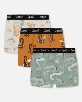 Printed Organic Cotton Boxer Shorts (Pack Of 3) Multicolored
